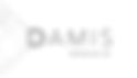 Damis Properties Inc_Blueprint_Logo_Black.jpg